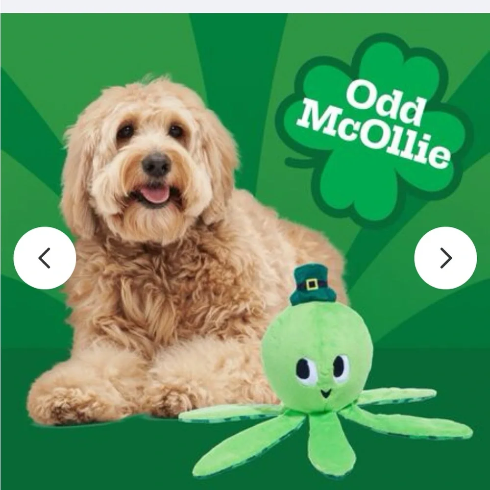 Bark Odd McOllie lick of the Irish dog toy